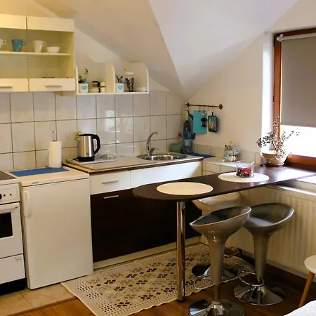 Apartment Svila *