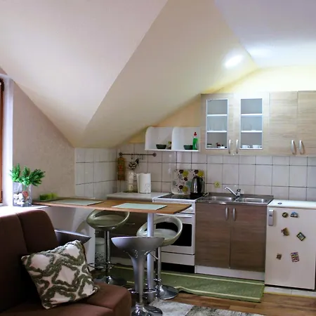 Apartment Svila *